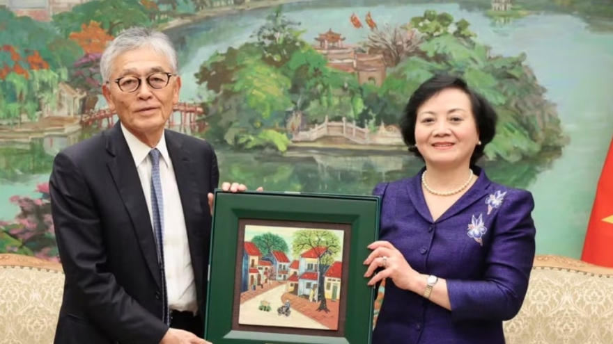 Deputy PM hails cooperation in personnel training with Japan