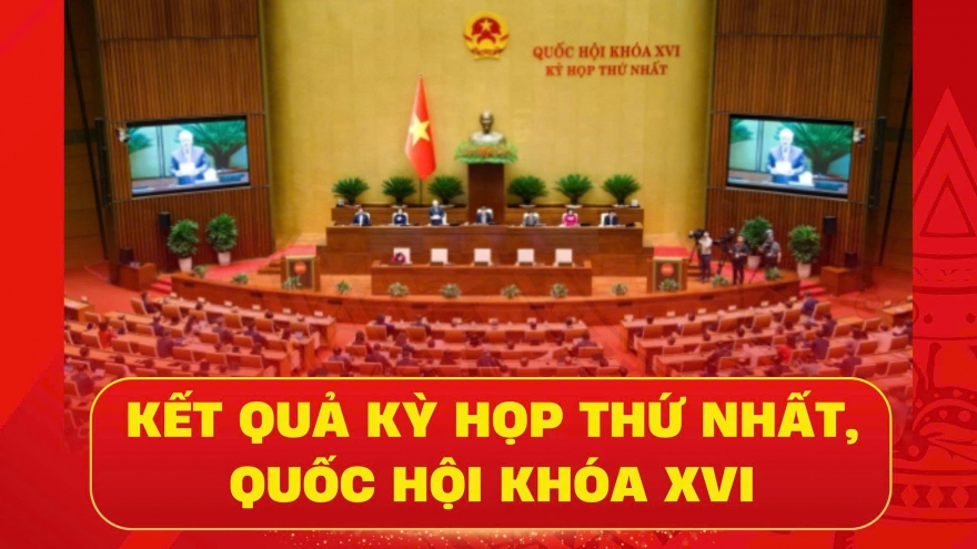 Kết quả kỳ họp thứ Nhất, Quốc hội khóa XVI