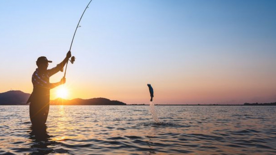 Chồng mê câu cá, bỏ mặc vợ con, hôn nhân 7 năm rạn nứt vì những đêm dài vô nghĩa