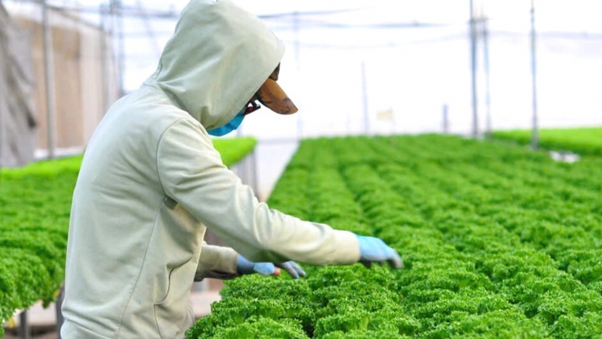 Lâm Đồng duy trì xu hướng tích cực trong xuất khẩu nông, thuỷ sản