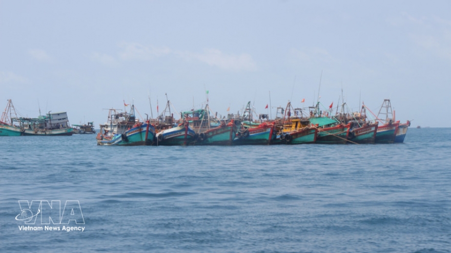 Lam Dong ramps up IUU fishing crackdown, closely following EC recommendations