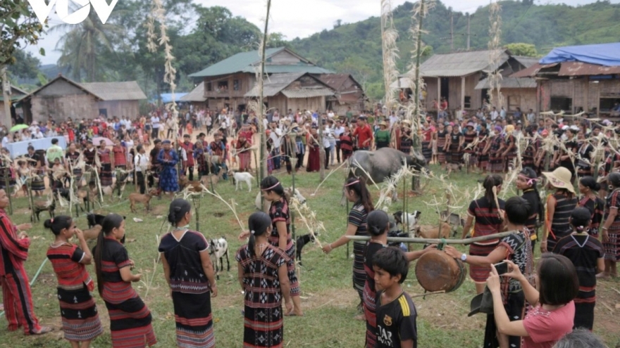 Tiếng đàn Ta Lư