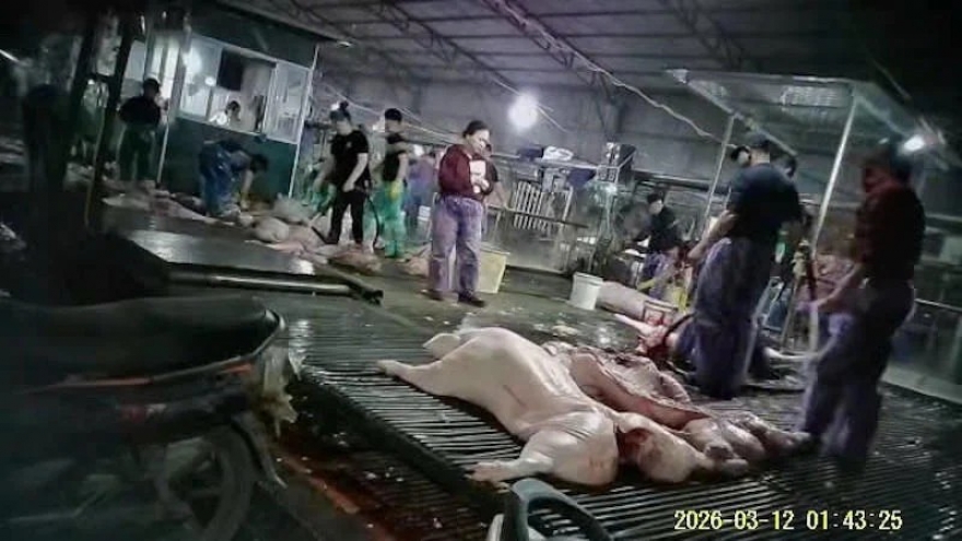 Nhức nhối thực phẩm bẩn: Biết rồi, khổ lắm, nói mãi