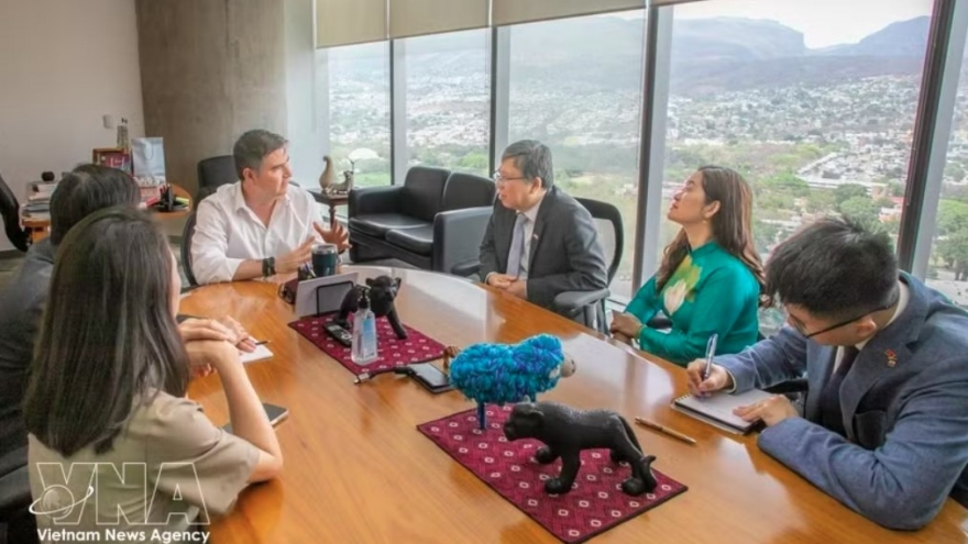 Vietnam promotes trade connectivity with Mexico’s Chiapas state