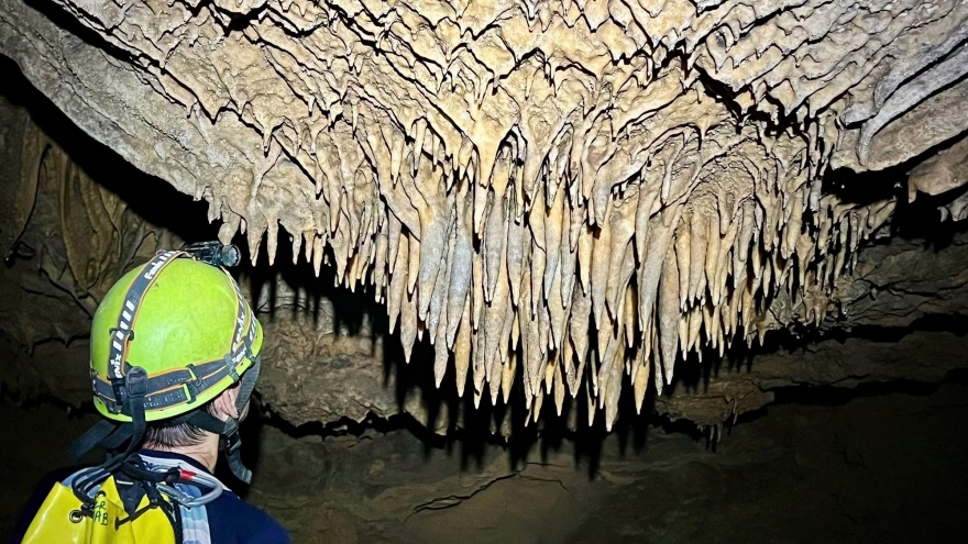 26 new caves discovered in Phong Nha - Ke Bang National Park