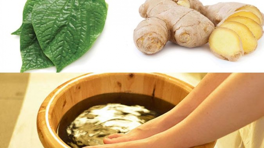 Ngâm chân lá lốt gừng muối: Bài thuốc dân gian đơn giản nhưng cần dùng đúng cách