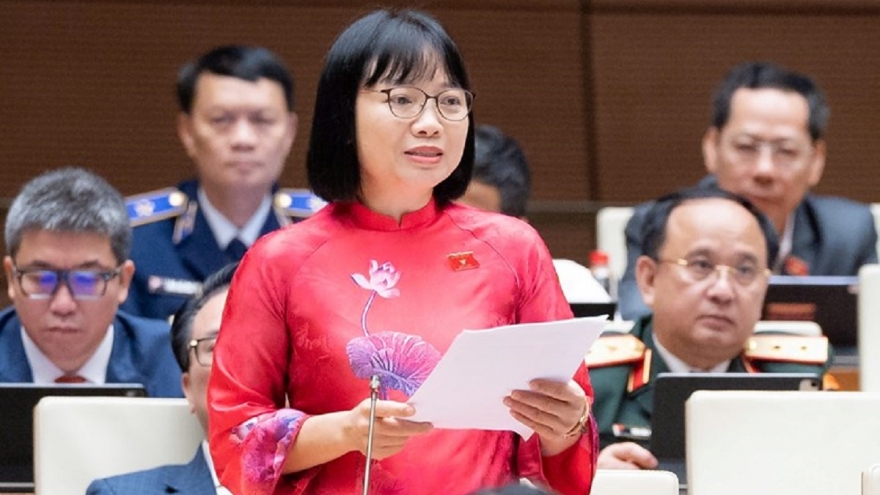 ĐBQH lo ngại nguy cơ ô nhiễm từ pin xe điện khi hết vòng đời sử dụng