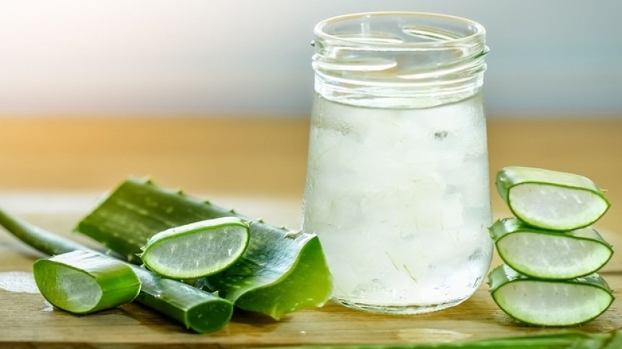 Uống nước cây lô hội có nhiều lợi ích, bạn đã biết?