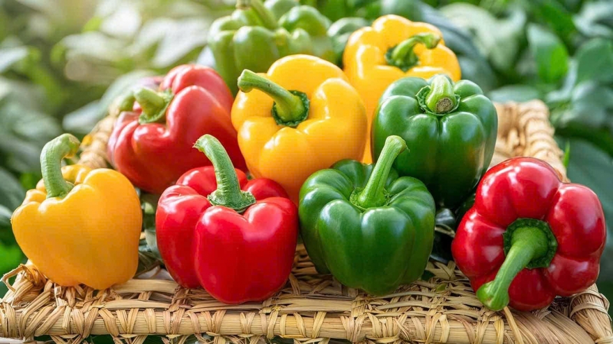 Thường xuyên ăn ớt chuông, cơ thể nhận được lợi ích gì?