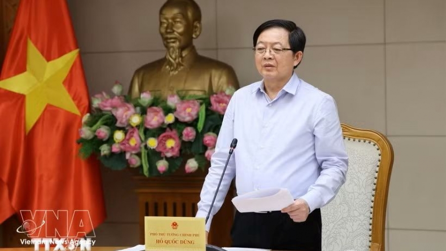 Investment must focus on essential fields in national target programmes: Deputy PM