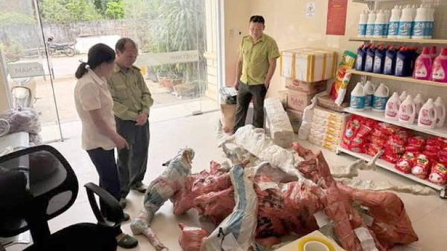 Phát hiện và tạm giữ 15 phôi cây muội hồng không rõ nguồn gốc