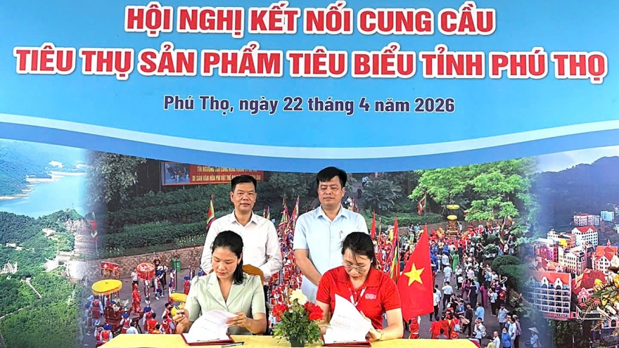 Hội chợ Hùng Vương 2026: Livestream mở lối cho đặc sản Đất Tổ