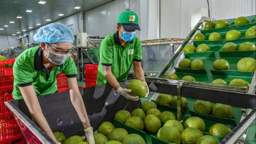 Việt Nam ký Nghị định thư xuất khẩu bưởi, chanh sang Trung Quốc