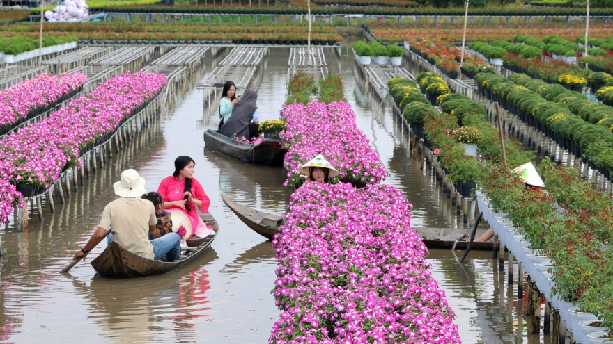 Đồng Tháp kết hợp giữa “xanh” và “số” để nâng tầm sản phẩm du lịch