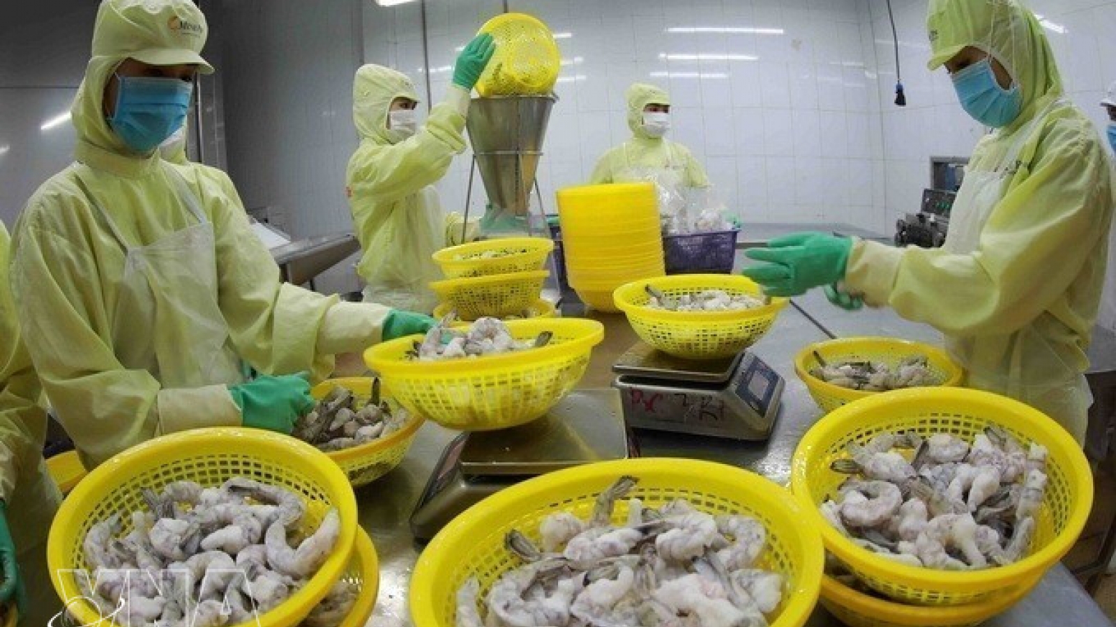 Vietnam exports surge over 17% in Q1 despite Middle East tensions