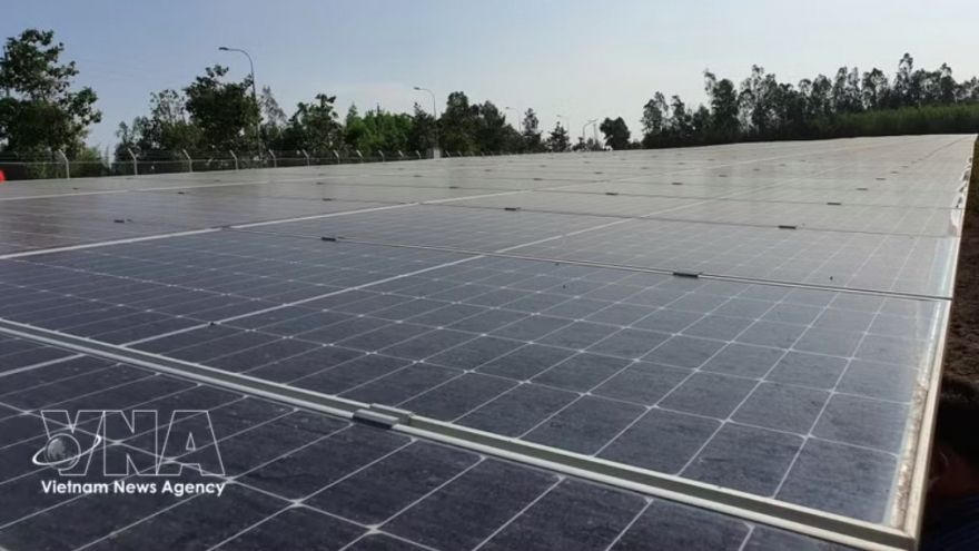 Vietnam emerges as bright spot of adaptation amid global turbulence