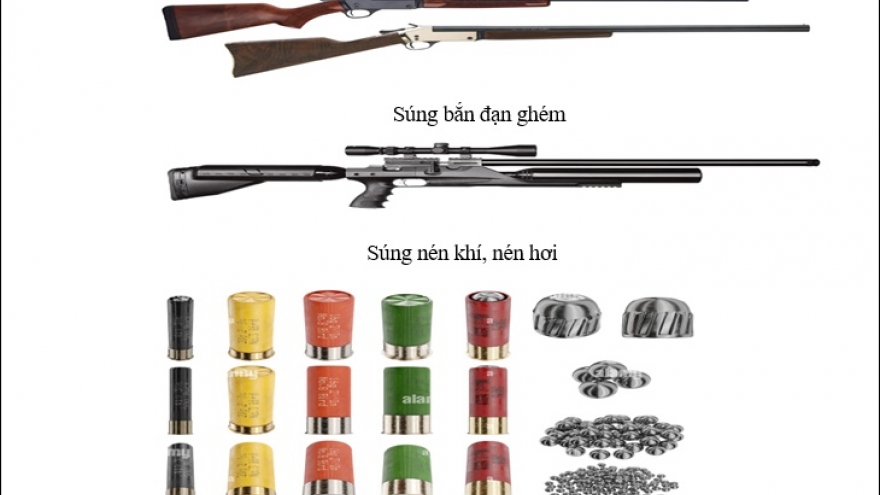 Người sử dụng, tàng trữ súng bắn đạn ghém, súng hơi sẽ đối mặt với tội Hình sự