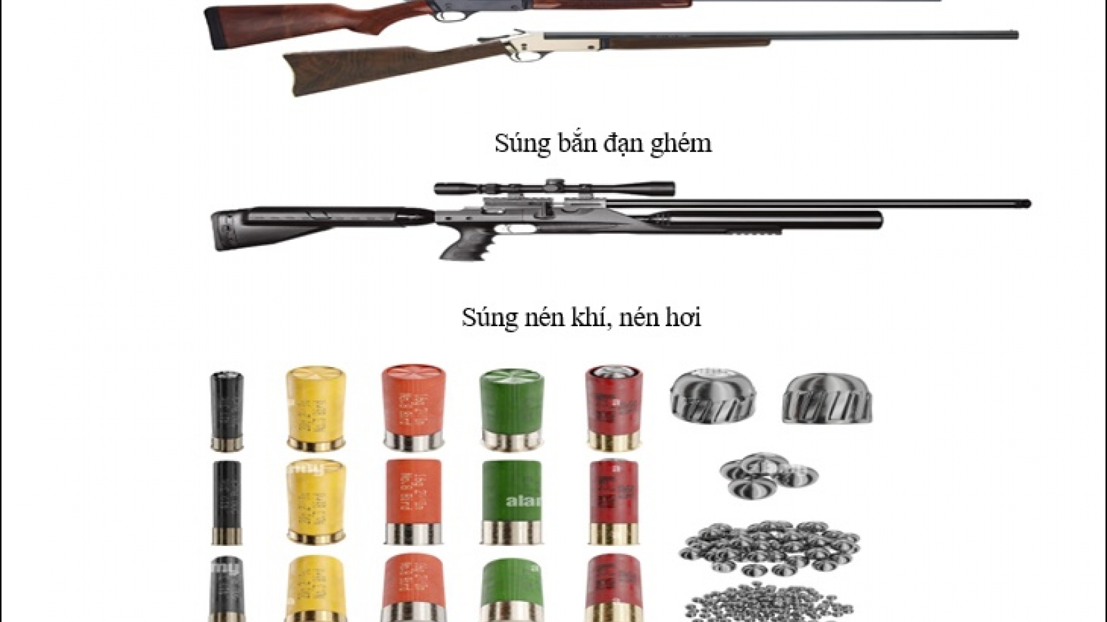 Người sử dụng, tàng trữ súng bắn đạn ghém, súng hơi sẽ đối mặt với tội Hình sự