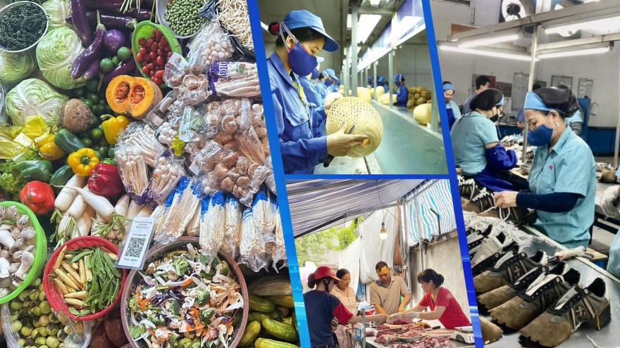 Chuyên gia giải đáp nỗi lo về thuế cho hộ kinh doanh và doanh nghiệp nhỏ và vừa