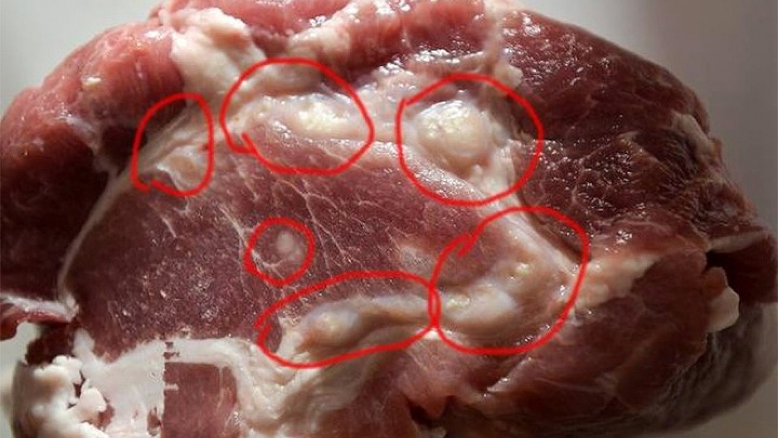 Thịt lợn nhiễm bệnh thường có dấu hiệu này, rẻ mấy cũng không nên mua