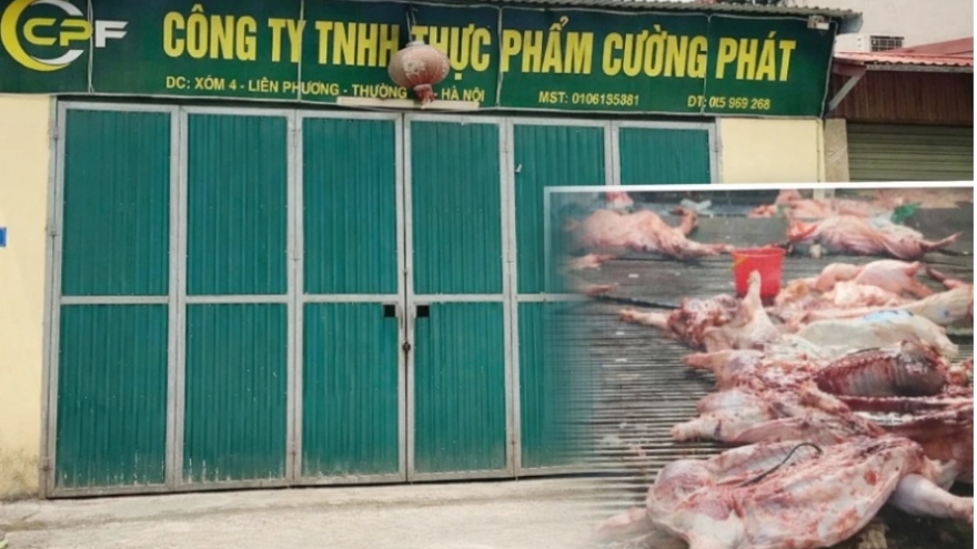 Nóng 24h ngày 10/4: Truy trách nhiệm cán bộ liên quan vụ 300 tấn thịt lợn bệnh