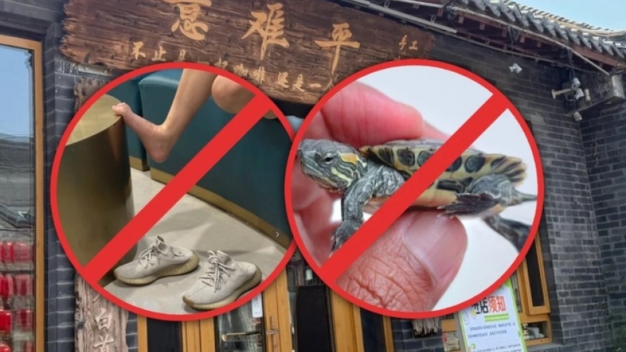 Quán cà phê càng nhiều quy định cấm, càng khiến thực khách thích thú