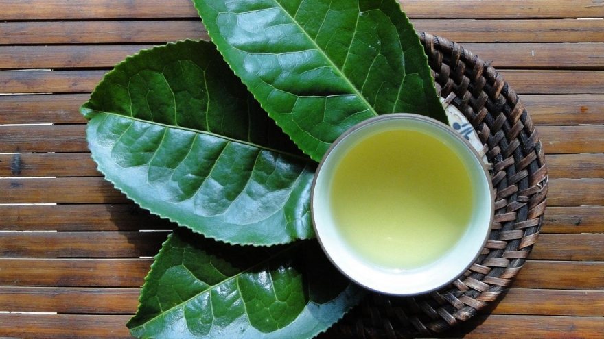 Trà xanh tốt đến mấy uống kiểu này chẳng khác gì tự hại mình lại ít người biết