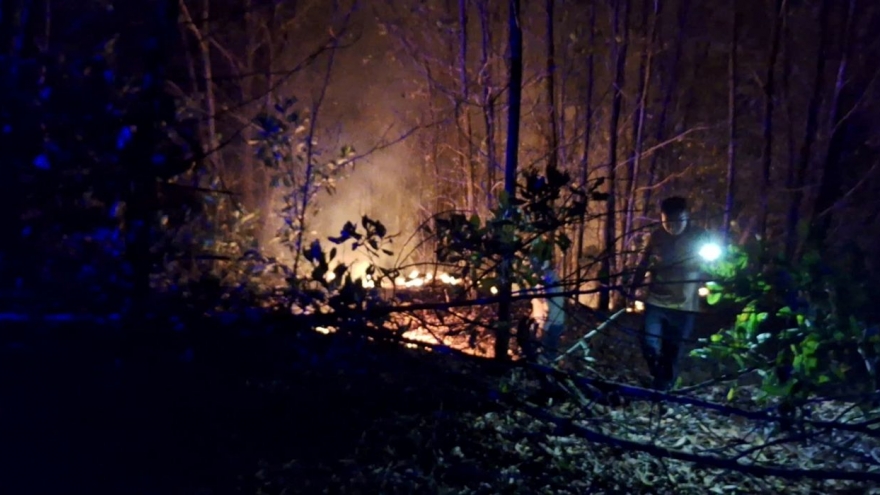 Huế giữ rừng giữa cao điểm nắng nóng đặc biệt gay gắt