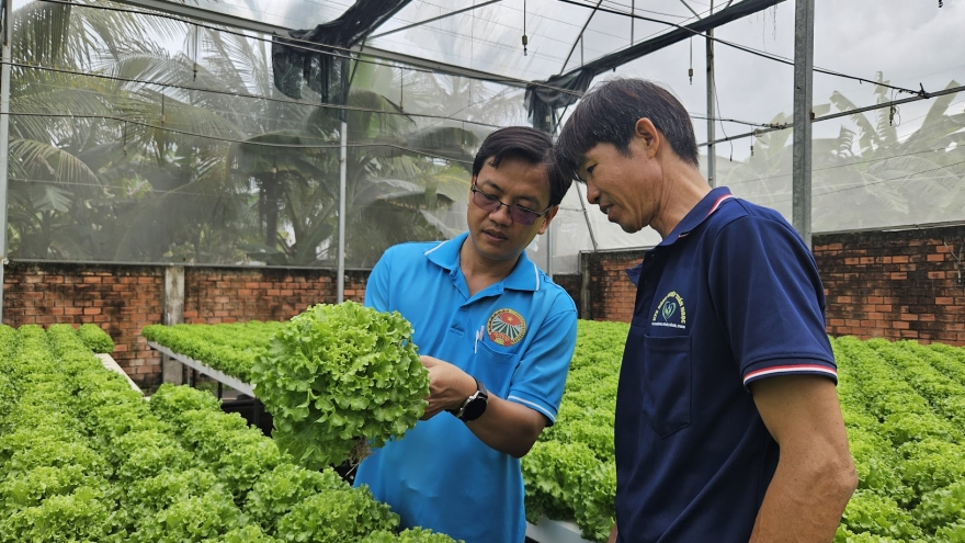 Góp ý dự thảo Đại hội IX Hội Nông dân: Cần đột phá liên kết, tín dụng và nông dân