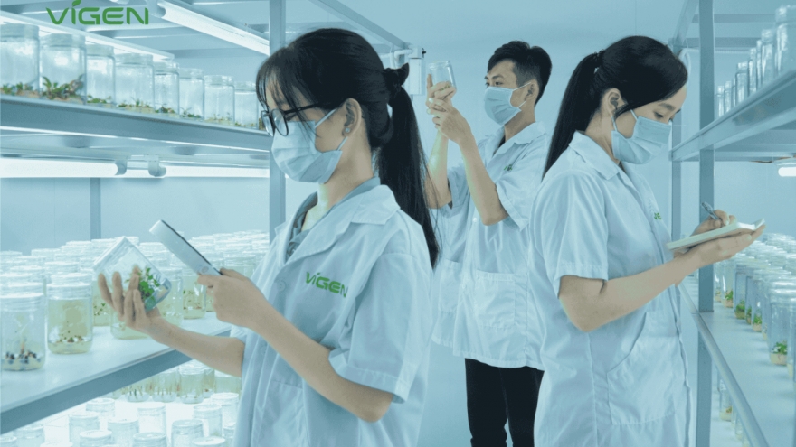 ViGen: Thiết lập "tiêu chuẩn vàng" cho ngành giống cây trồng cấy mô Việt Nam