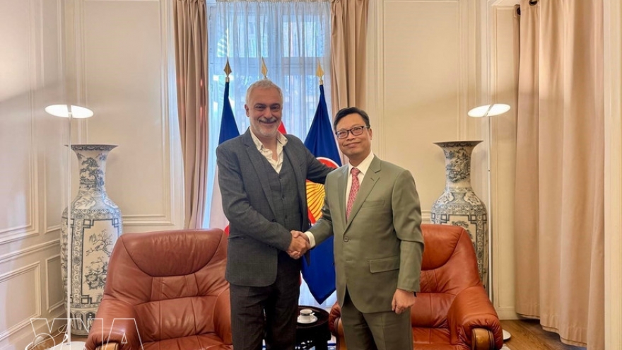 Vietnam, France bolster Party ties