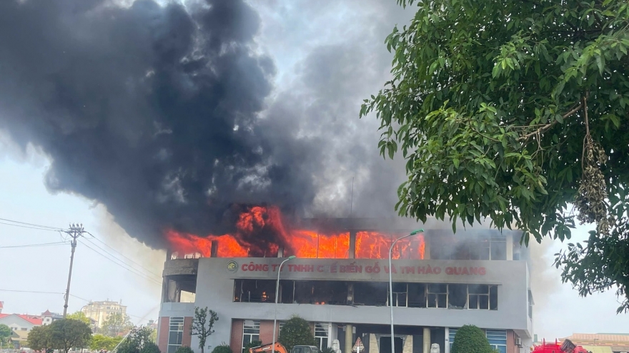 Cháy lớn tại công ty chế biến gỗ, cột khói đen bốc cao hàng chục mét