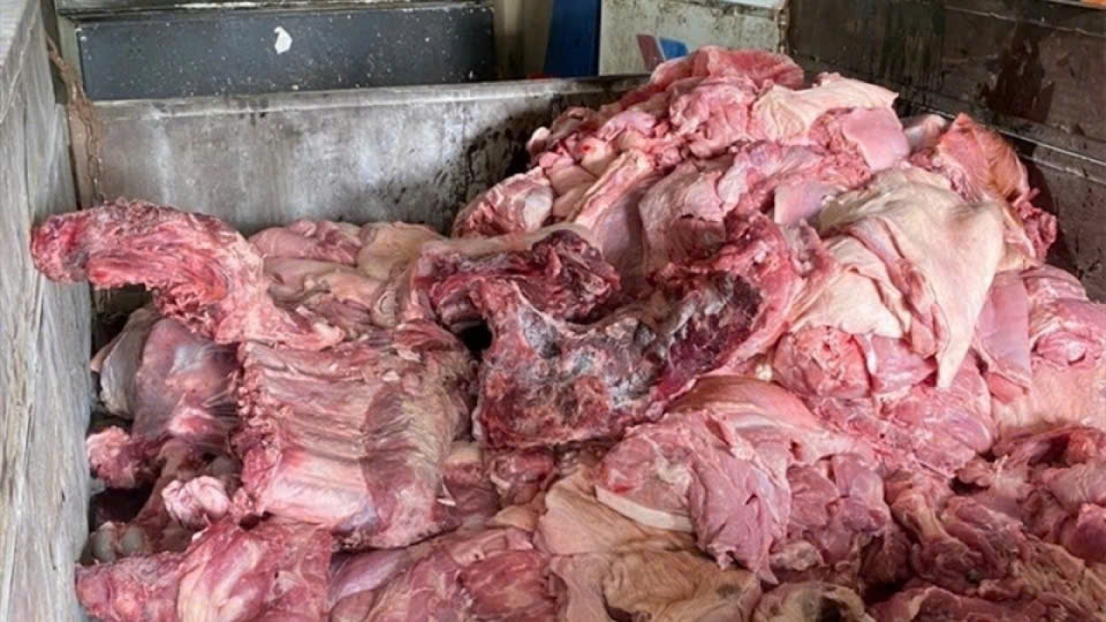 300 tấn thịt heo bệnh vào trường học: Cơ quan chủ quản nói gì?