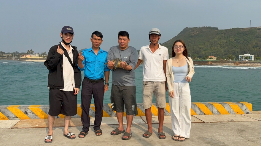 Thả rùa biển quý hiếm mắc “lưới ma” trở về đại dương