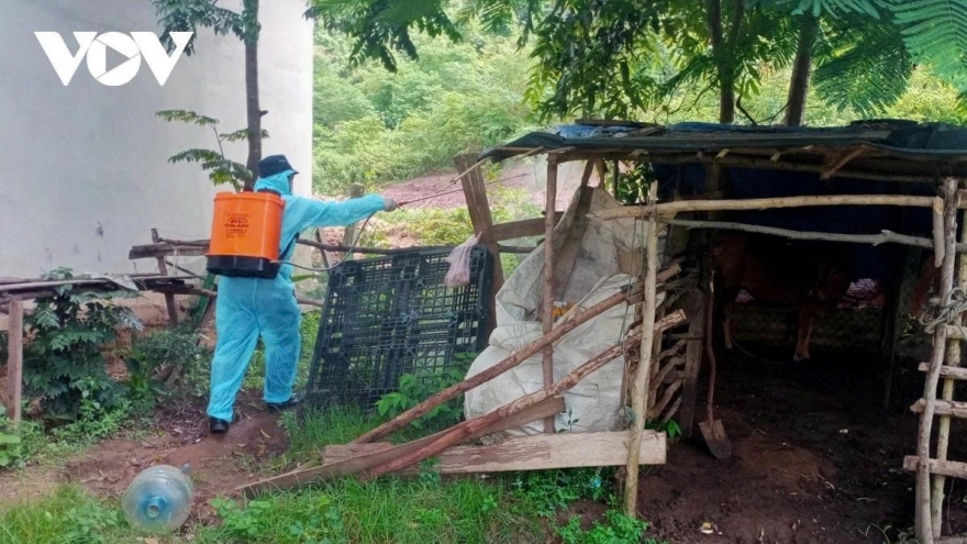 Chủ động kiểm soát, ngăn ngừa dịch lở mồm long móng xâm nhập