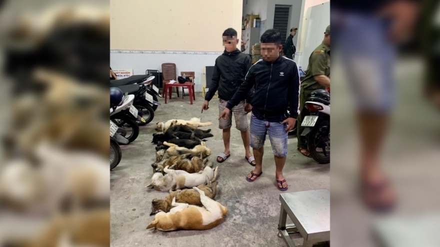 Bắt giữ 2 đối tượng mang súng tự chế và kích điện đi trộm chó