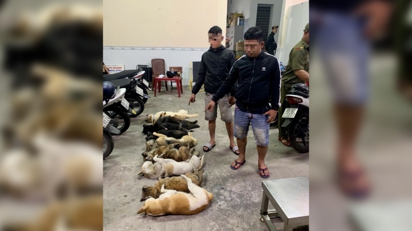 Bắt giữ 2 đối tượng mang súng tự chế và kích điện đi trộm chó