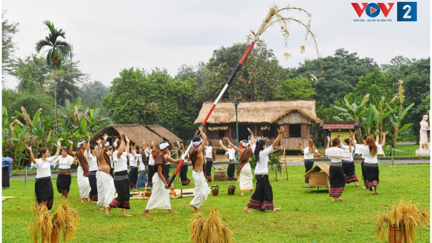 Rộn ràng thanh âm Arya trong Lễ mừng lúa mới của người Chu Ru