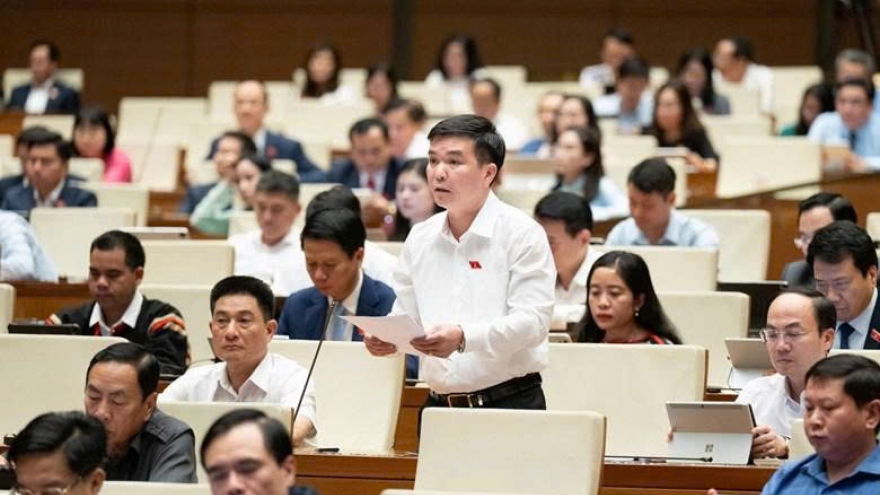 ĐBQH kiến nghị ưu tiên nguồn lực cho hạ tầng giao thông, công trình chống ngập