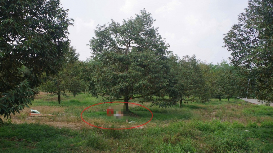 Phát hiện người đàn ông ở Đồng Nai tử vong dưới gốc cây, bên cạnh có súng hơi