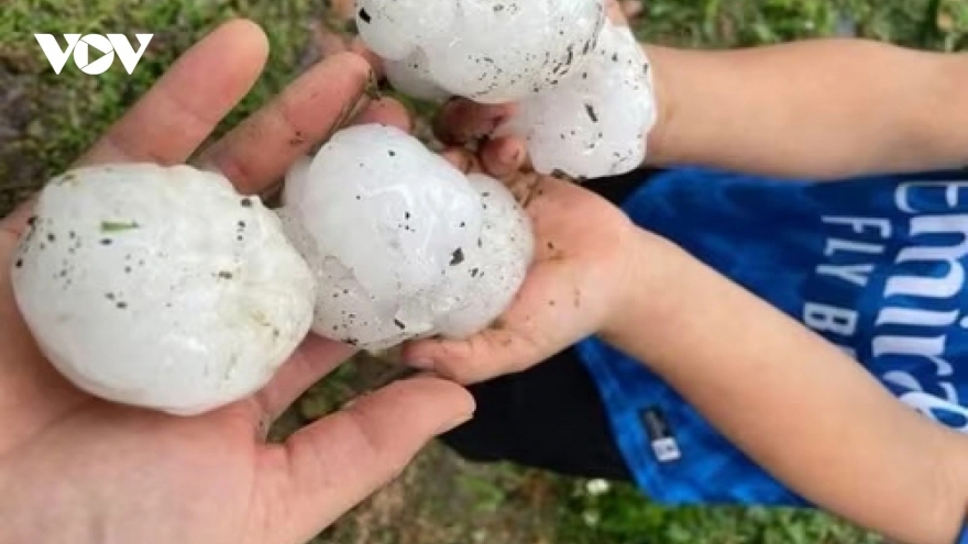 12 injured as hailstorms sweep northern Vietnam