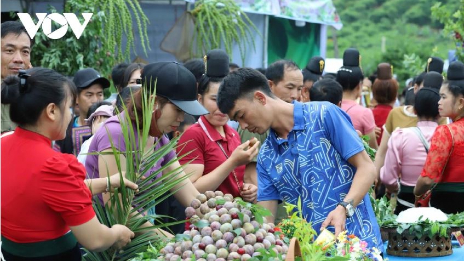 Nhiều lễ hội quả sẽ diễn ra tại Sơn La trong tháng 5