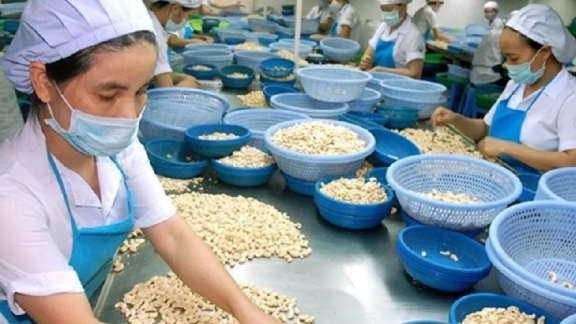 Trade promotion seminar boosts Vietnam-Morocco business links
