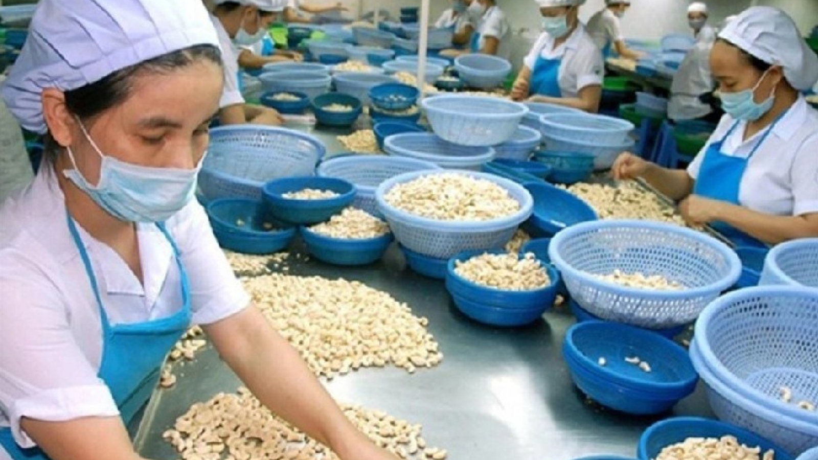 Trade promotion seminar boosts Vietnam-Morocco business links