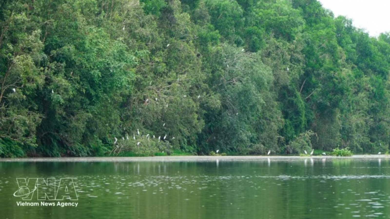 Initiatives drive Vietnam push to protect biodiversity for sustainable future
