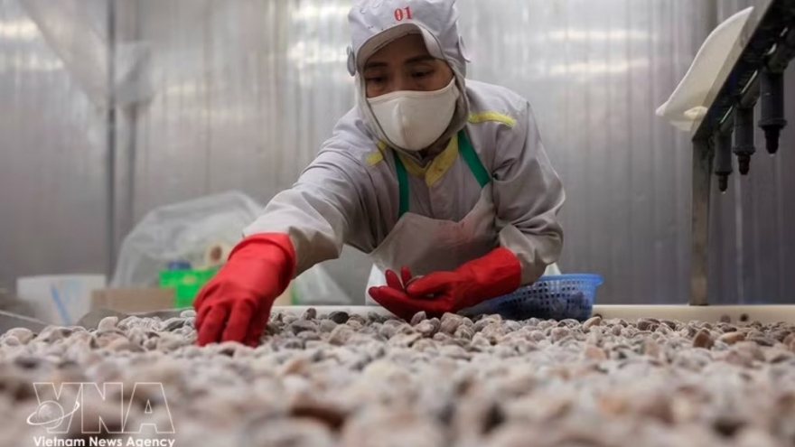 VASEP orders emergency compliance after US puts Vietnam on top IP watch list