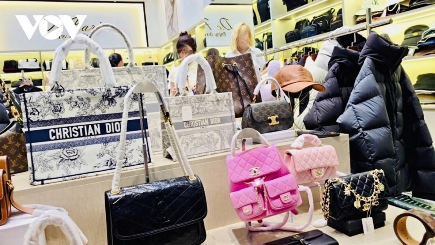 Vietnam intensifies anti-counterfeit crackdown at border checkpoints