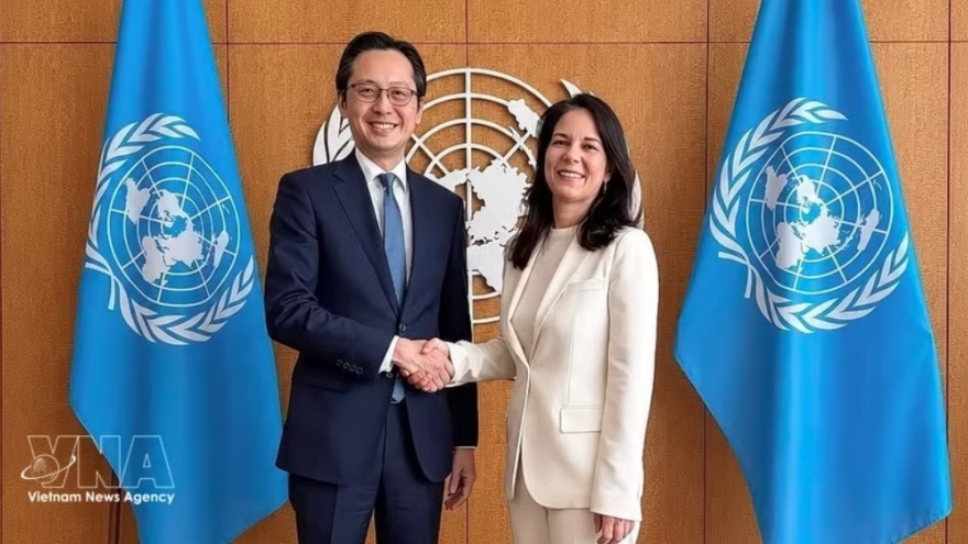 Vietnam strives for substantive outcome at NPT review conference
