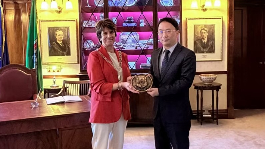 Vietnam, Ireland seek to expand all-around cooperation