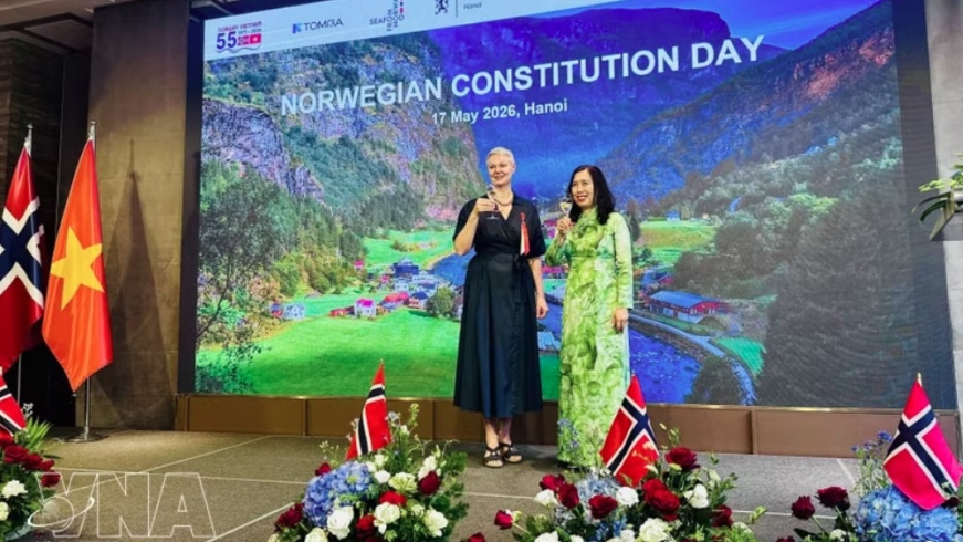 Vietnam, Norway seek strategic, practical cooperation frameworks
